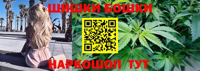 тгк Будённовск