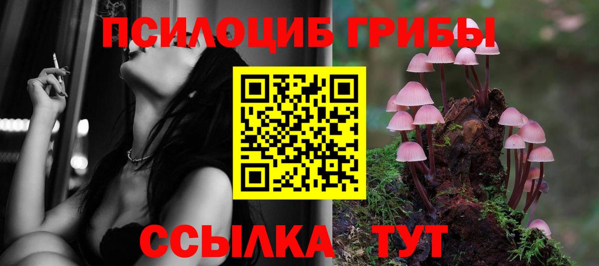 Галлюциногенные грибы мухоморы Сергиев Посад