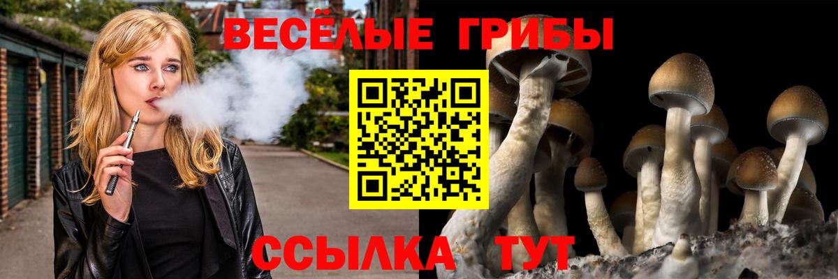 Галлюциногенные грибы Psilocybe  Псилоцибиновые грибы прущие грибы  Вход с VPN  Сергиев Посад 